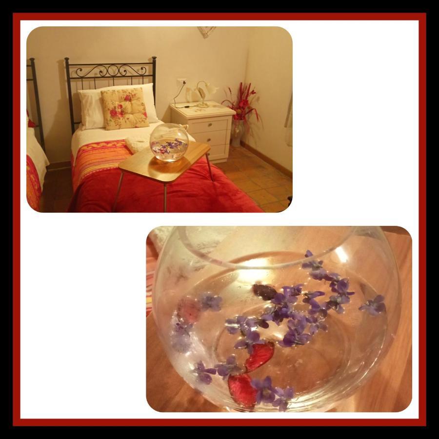 Felix House Bed & Breakfast Codevilla Dış mekan fotoğraf